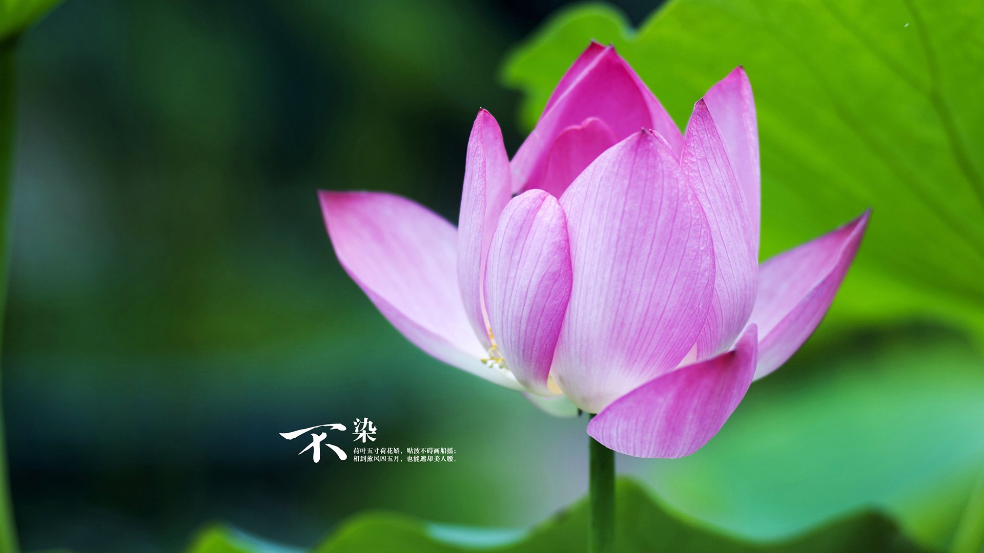 体育赛事品牌价值评估,体育赛事品牌价值评估方法