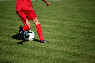 爱游戏app活动-CBA球队完善伤病防护体系保障运动员健康和职业生涯，cba球员伤情报告